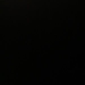 Meet your Posher, Scarlett